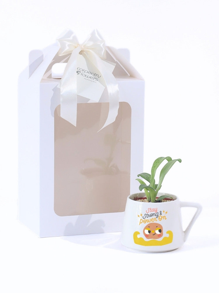 Stay Strong Get Well Soon Potted Plant Gift delivery Kuala Lumpur & Selangor