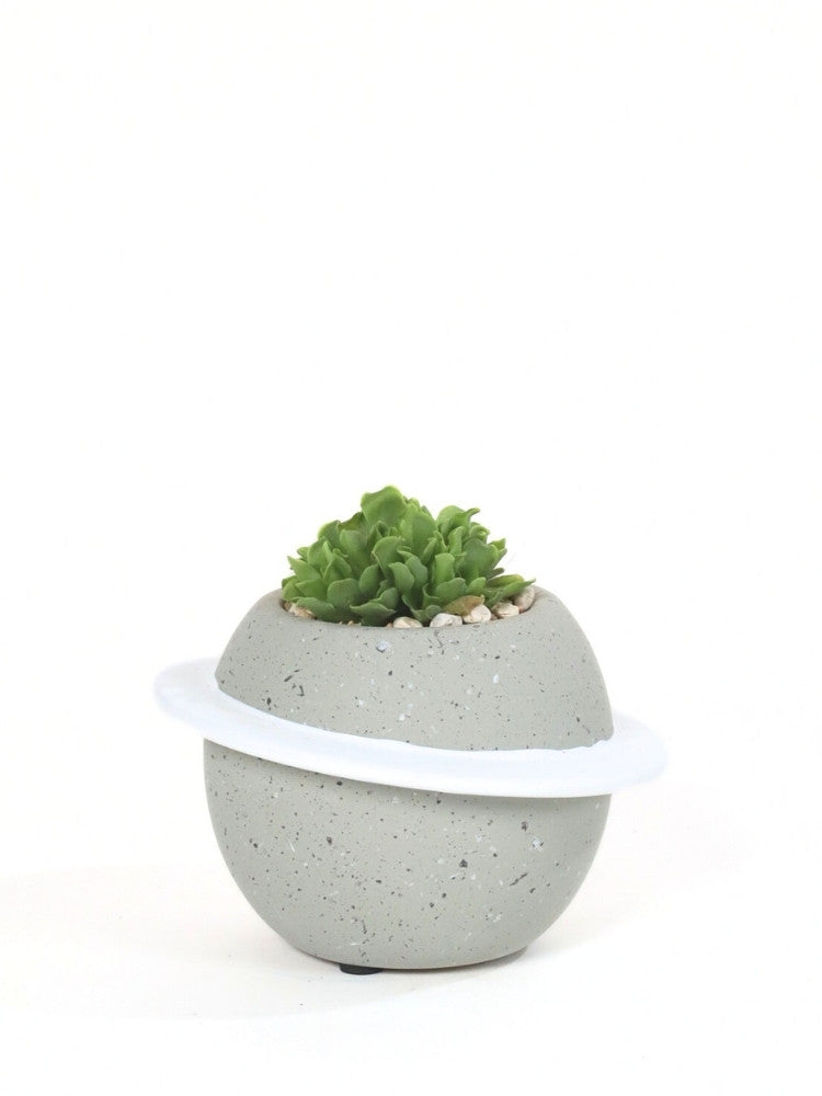 Sunlit Bloom - Plant Gift