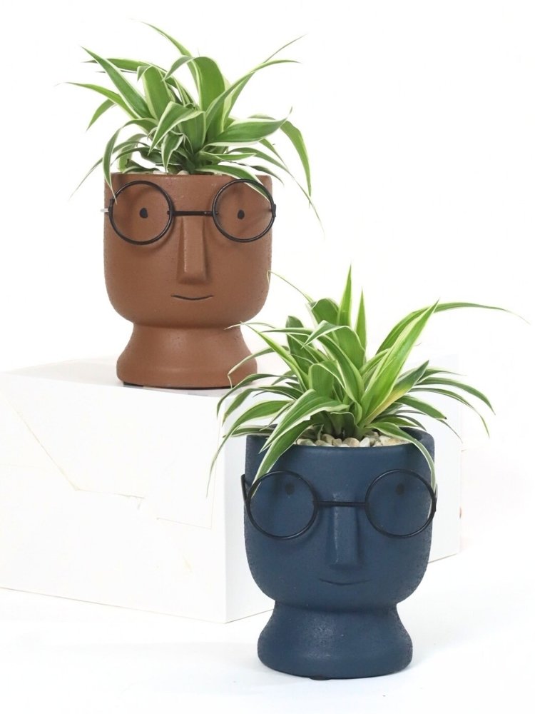 The Thinker Pot Plant Gift delivery Kuala Lumpur