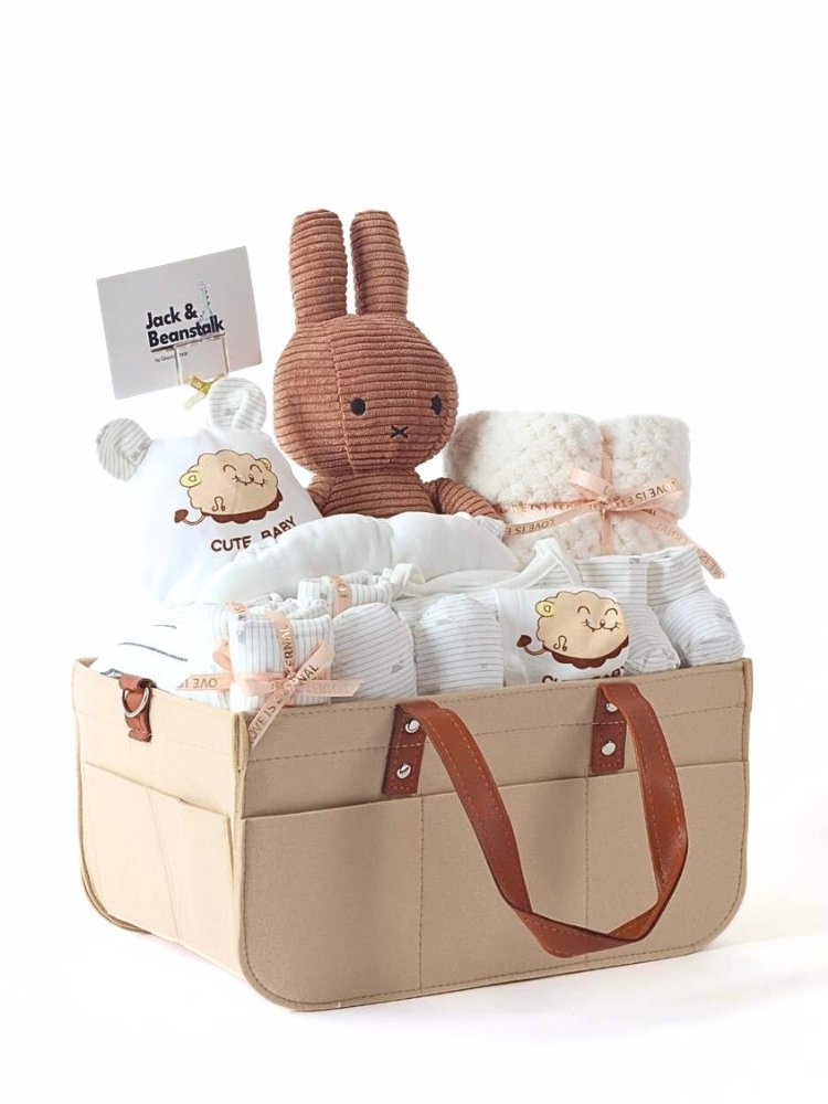 The Velveteen Rabbit Baby Hamper delivery Malaysia