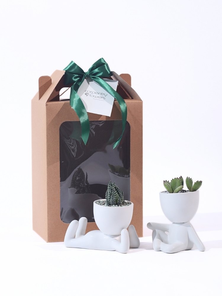 Those Days Potted Plant Gift