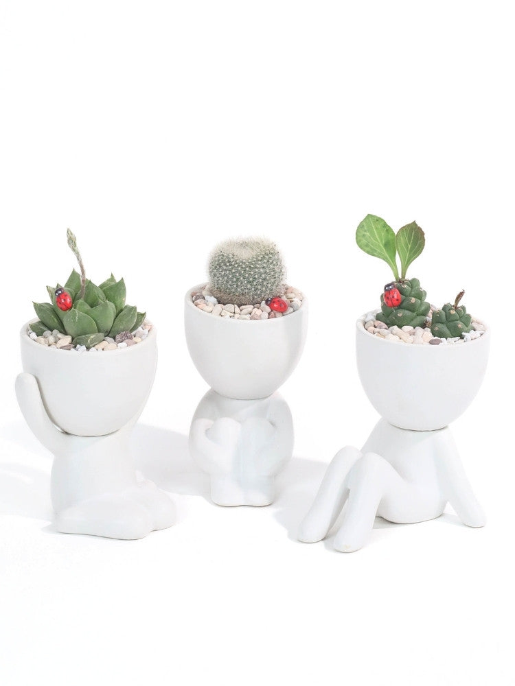 Those Days Potted Plant Gift delivery Kuala Lumpur & Selangor
