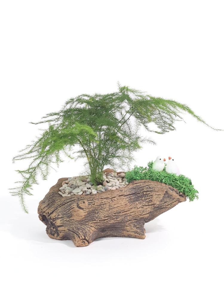 Whispering Green Potted Plant Gift delivery Kuala Lumpur & Selangor