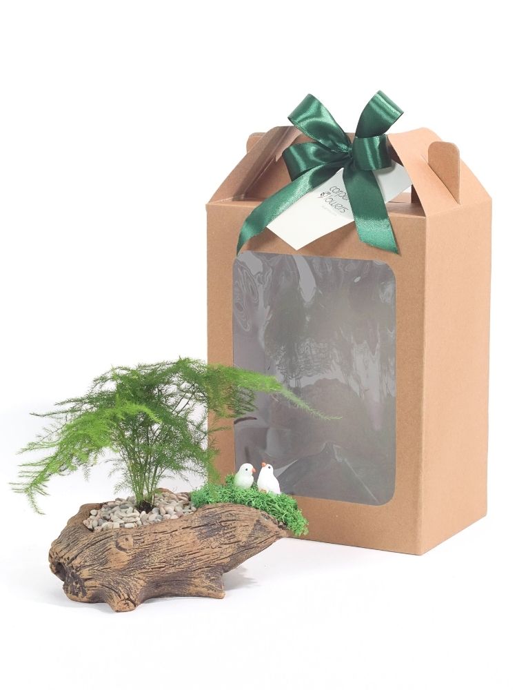 Whispering Green Plant Gift delivery Kuala Lumpur & Selangor