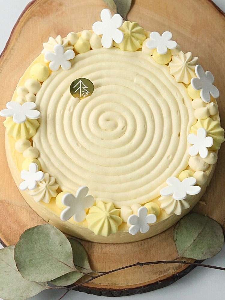 Baked French Lemon Cheesecake