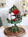 Christmas Wishes Preserved Flower