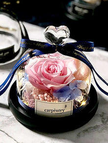  Eternal Rose in Blue & Pink Preserved Flower