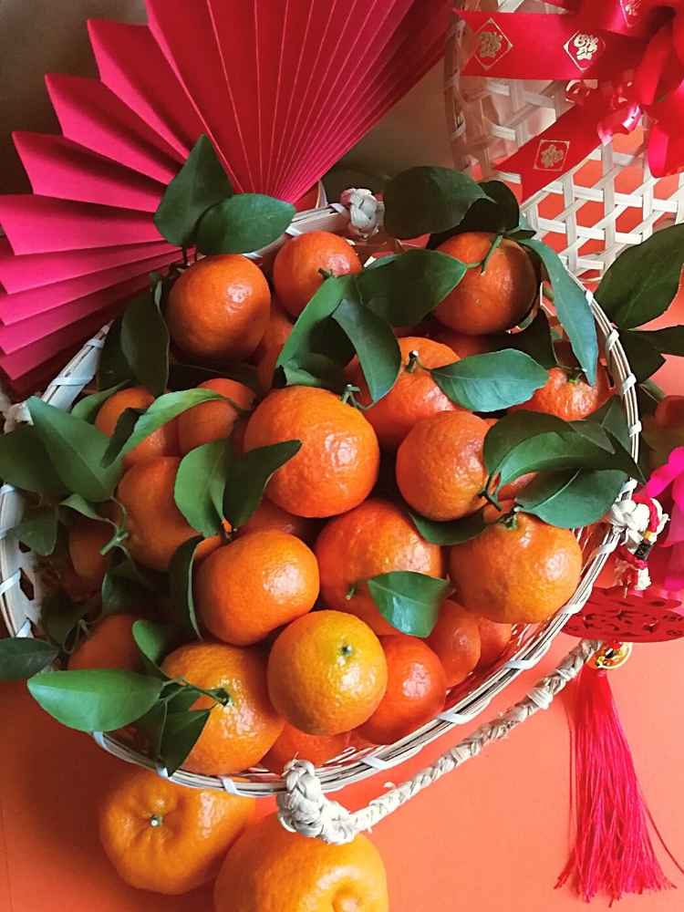 
                      
                        Golden Bliss_Baby Mandarin Orange Basket Delivery Kuala Lumpur & Selangor
                      
                    