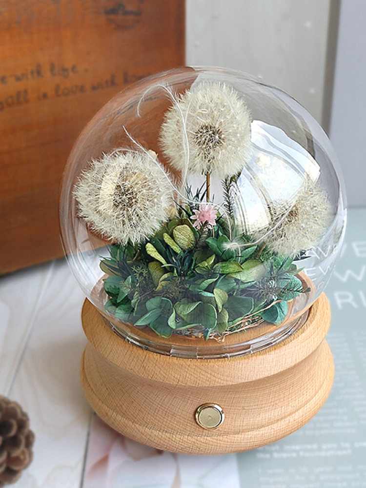 Preserved Dandelion_LED Bluetooth Music Speaker