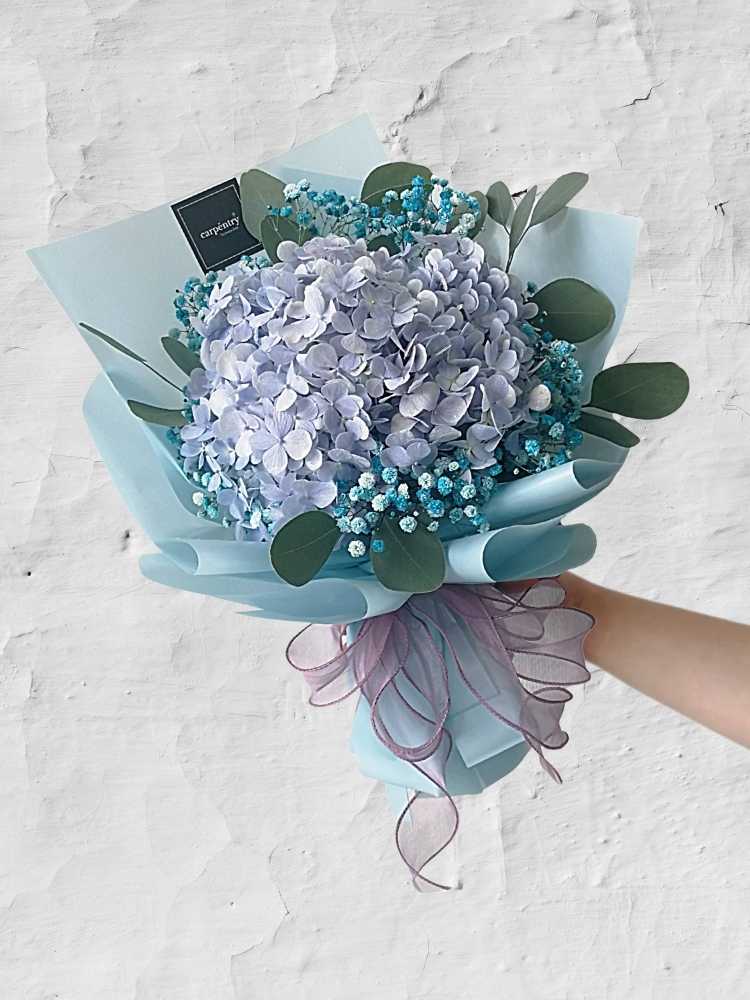 
                      
                        Someone Like You_Hydrangea Bouquet
                      
                    