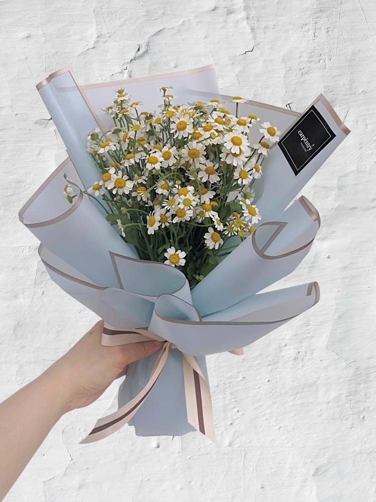 
                      
                        Be My Sunshine - Buddle Set
                      
                    