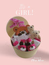 Twinkle_Baby Girl Gift Box